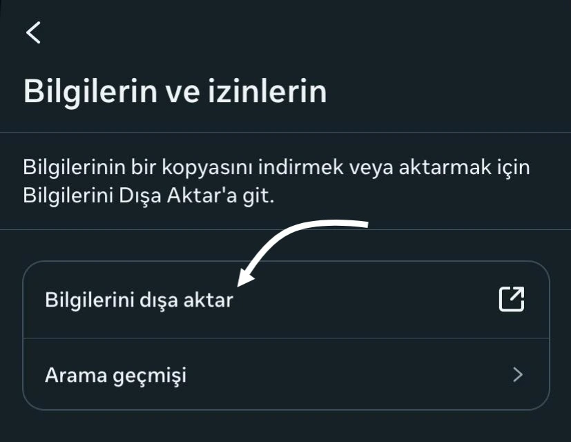 Adım 3: "Bilgilerini dışa aktar"a dokun