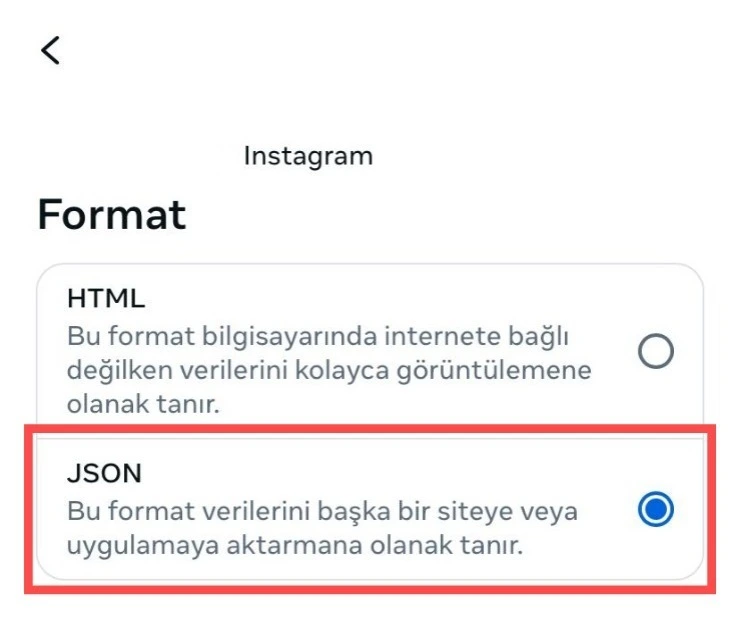 Adım 8: Format'ı JSON yap